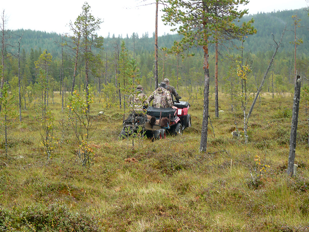 ATV i bjørneterrreng