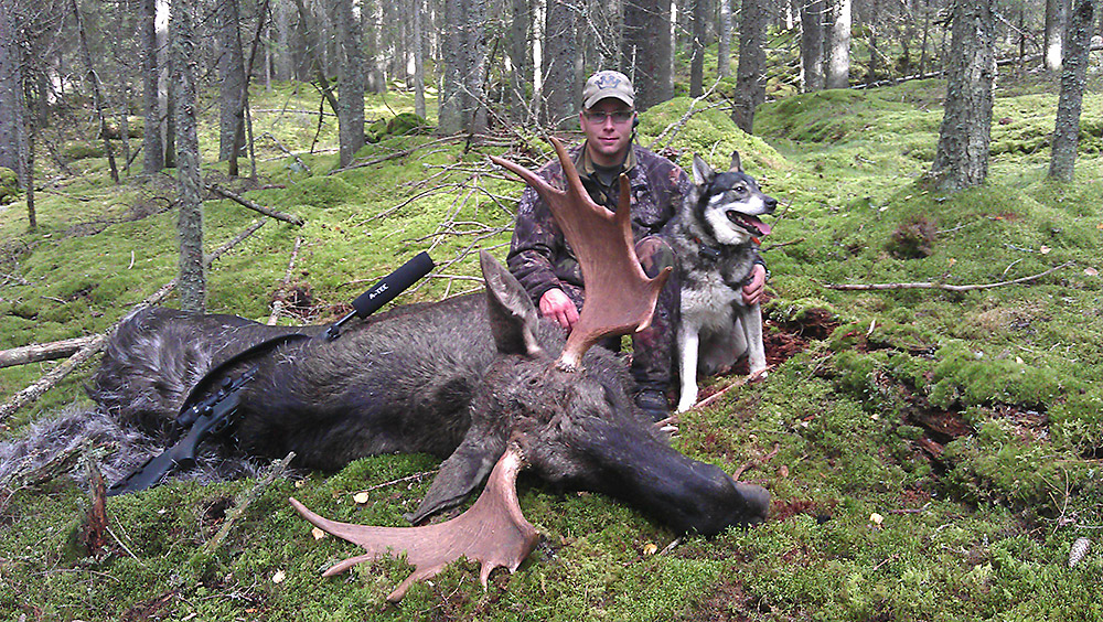 Elgjakt storokse med fornøyd jeger og hund