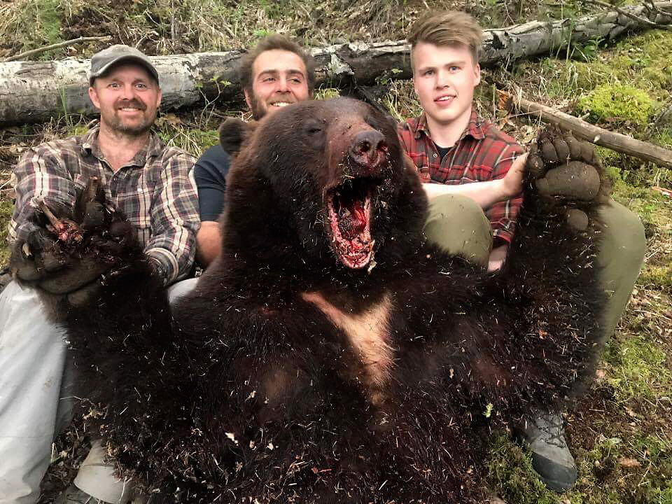 Jakt på svartbjørn i Canada