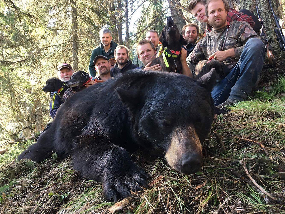 Jakt på svartbjørn i Canada