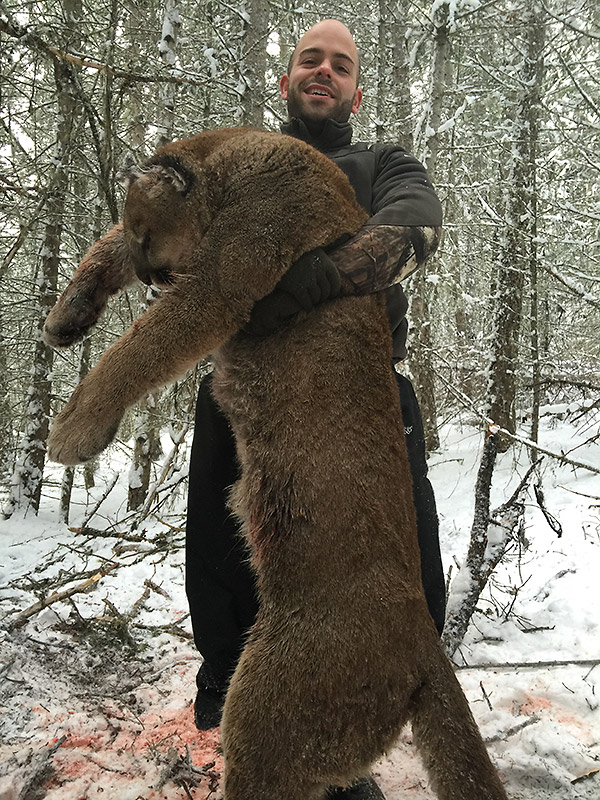 Pumajakt i Canada